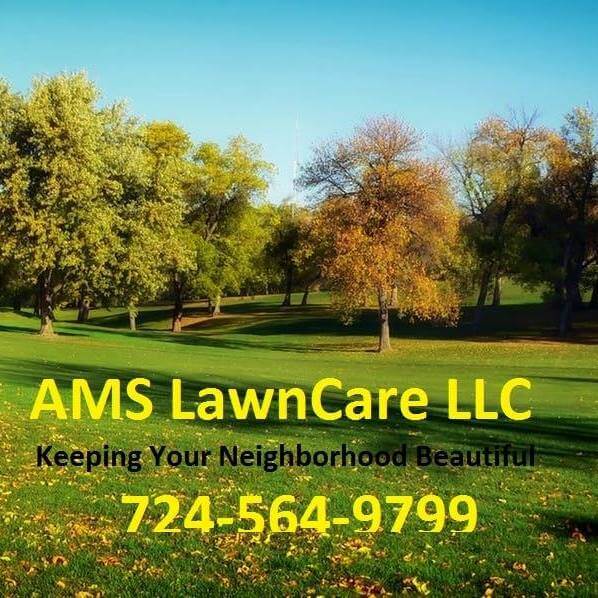 AMS LawnCare LLC